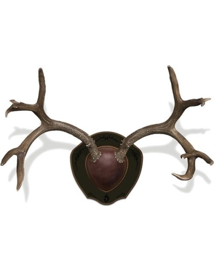 Mountain Mike's Deer Antler - Rack Plaque W-shed Spreader