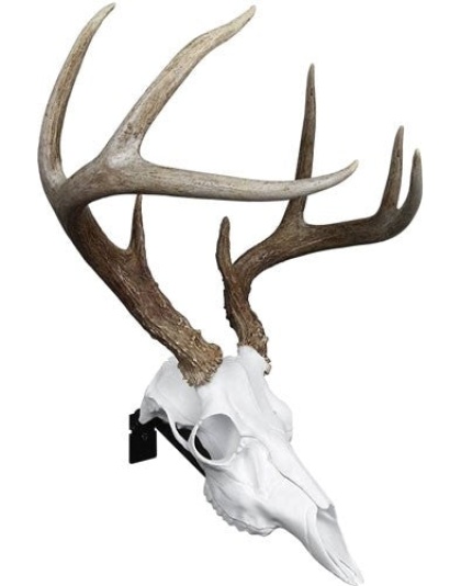 Mountain Mike's Deer Skull - Positioner