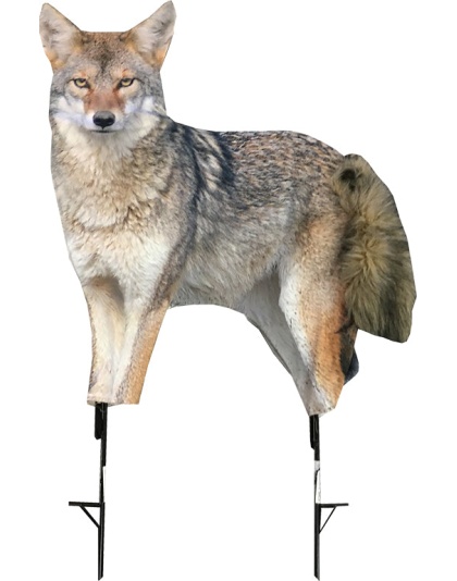 Montana Decoy Coyote Song Dog -