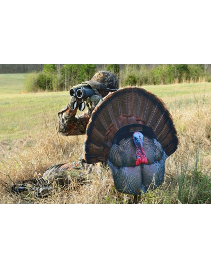 Montana Decoy Turkey Gobbler - Fanatic 2d