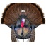 Montana Decoy Turkey Wiley - Tom