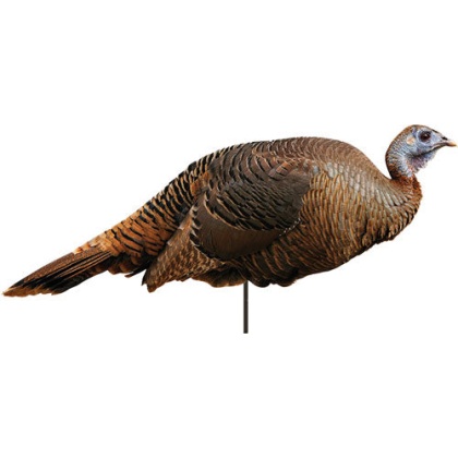 Montana Decoy Turkey Spring - Fling Hen